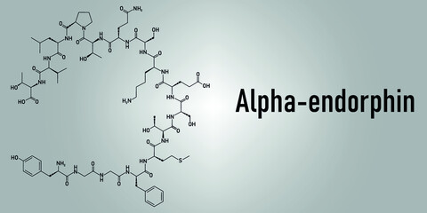 Alpha-endorphin endogenous opioid peptide molecule. Skeletal formula.