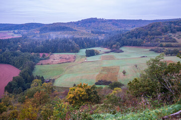 fall landscape