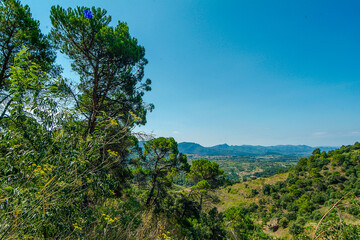 Viñedos de la comarca del Priorat, provincia de Tarragona, Catalunya.