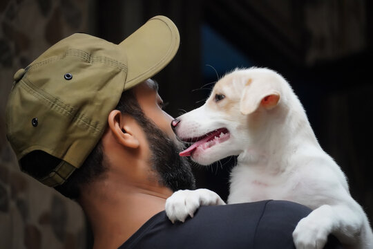 a dog lover image dog is licking to boy