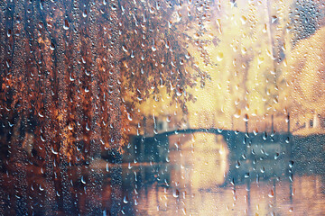 rain background autumn landscape park, abstract seasonal nobody weather october landscape