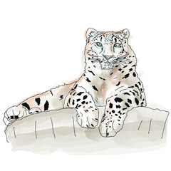 one of most beautiful big cat, snow leopard - Irbis, October 23 international day of the snow leopard, vector  illustration