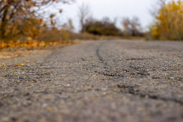 Autumn asphalt road background
