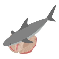 Underwater world icon isometric vector. Big gray shark and beautiful coral reef. Marine environment, sea animal