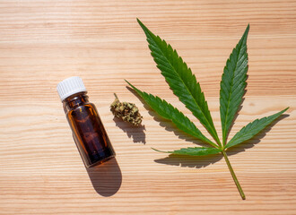 Hemp leaf with oil on a wood background