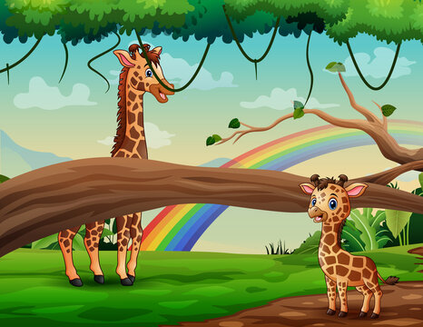 Funny giraffes living in the jungle illustration