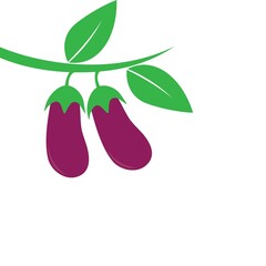 Eggplant icon logo vector design