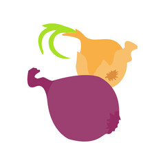 red onion and onion icon isolated on white vector image