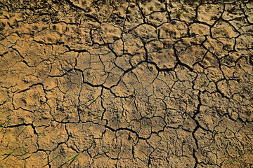 texture desert drought background abstract earth cracked warming global