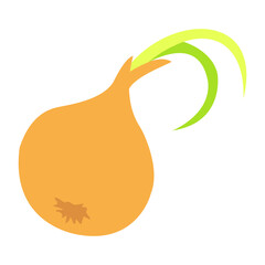 Fresh raw onions with green leaves on top, flat design