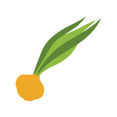 Green onions isolated on a white background. flat design illustration