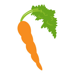 Carrot. Vector carrot in trendy flat style. Vector concept. Isolated object.
