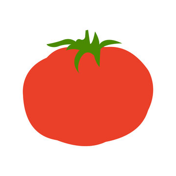 Tomato isolated on white background vector illustration. Flat design