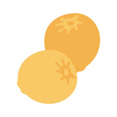 Juicy orange persimmon fruit, isolated on white background. Vector flat illustration.