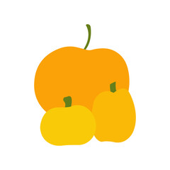three simple flat pumpkins on vector illustration image