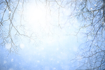 snowflakes branches winter abstract background, holiday new year, cold weather snow