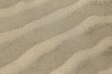 ビーチの砂　