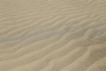 Fototapeta na wymiar ビーチの砂　