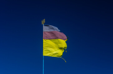 The old flag of Ukraine with coat of arms