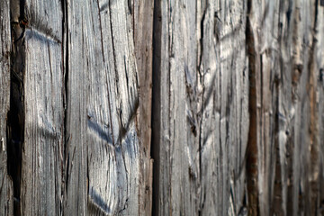 Chopped log fence. The texture of the split logs.