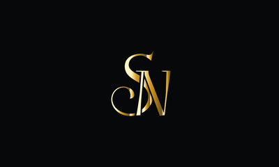 
Abstract Letter Initial SN NS LUXURY Vector Logo Design Template