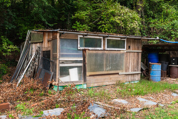 old abandoned garden shed in the forest