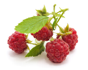 Raspberry with leaves.