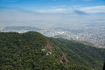 Aerial view of green forest. High quality photo