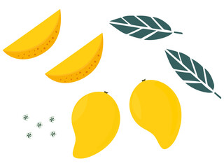 tropical mango yellow mango golden mango leaf mango flower draw fruit mango slice mango piece flying 