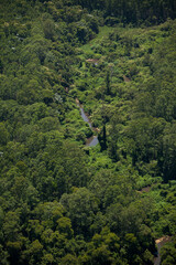Aerial view of green forest. High quality photo