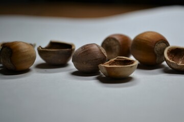 chocolate and hazelnuts