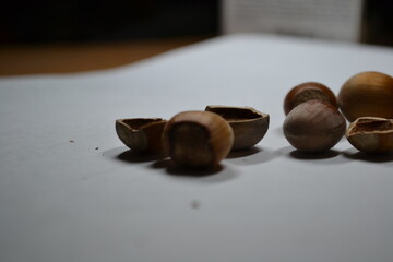 chocolate with hazelnuts