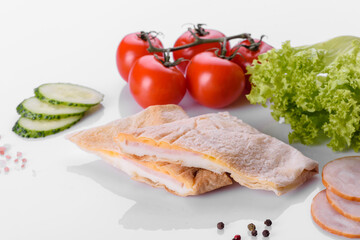 Delicious fresh sandwich grill with pita, cheese and meat