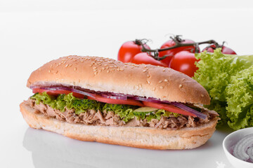 Delicious fresh sandwich grill with a bun, cheese and meat