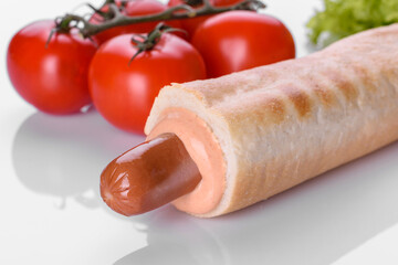 Delicious fresh French hot dog grill with a bun, dairy sausage and sauce