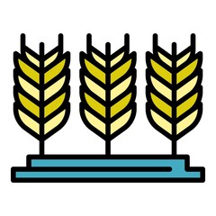Farm wheat plantation icon. Outline farm wheat plantation vector icon color flat isolated