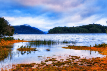 Tas Lake puddle grass shore