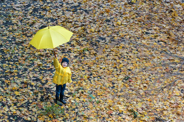 Child raised the umbrella over his head. Portrait of child in the autumn park. Top view