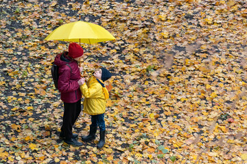 Mother and child under an umbrella in the park against yellow fallen leaves background. Side view