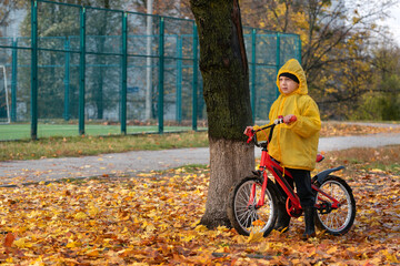 Fototapeta premium Boy stands in the park with his bike surrounded by yellow fallen leaves. Autumn day