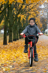 Boy with glasses rides bicycle in the autumn park and looking at camera. Vertical frame