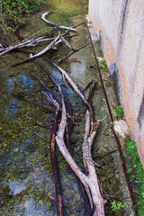 Water Stream in a forest, near waterfall. Hiking Site de saint Barthelemy in Salernes, Provence, France.