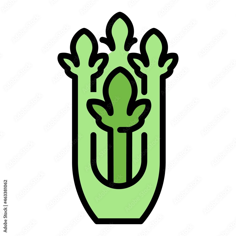 Poster celery spice icon. outline celery spice vector icon color flat isolated