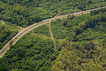 Aerial view of road and highway