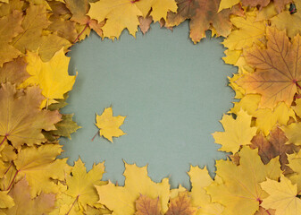 Naklejka na ściany i meble Frame made of autumn leaves on a gray background top view, copy space.
