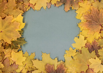 Naklejka na ściany i meble Autumn background. Frame of autumn leaves with copy space on a green background. Season and autumn concept