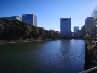 Fototapeta premium river in the city of Tokyo with park and trees