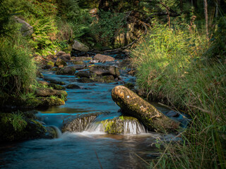 waterfall in the forest