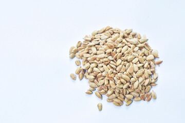 baking salt sunflower seed peel out  arranging on white background
