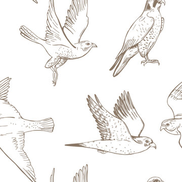 Vector pattern with peregrine falcon